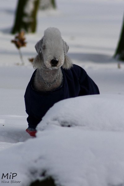 2010-12-25 Airis Blue Volshebny Svet (16).jpg